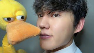 Yellow duck ASMR