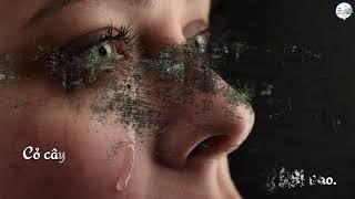 MONG MANH PHẬN NGƯỜI - St An Mai Đỗ - Tb Đức Thiện - Một thoáng suy tư về cái chết trong mùa Covid.