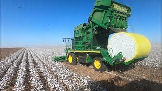 Let’s go harvest some cotton