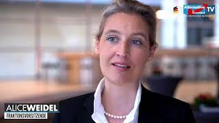 Verbraucher vor Inkasso-Abzocke schützen! - Alice Weidel