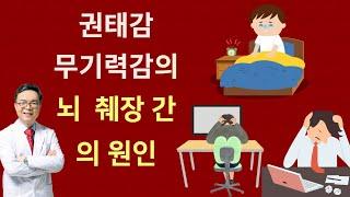 까닭모를 권태감, 무기력이 만성화되었다면 한번은 짚어봐야 할 뇌, 췌장, 간의 문제들