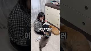 나린이랑 쭈빠삐 드디어 만났어요!!!! @jbbmoonn @rr__0626#13doctorwhoo #shorts