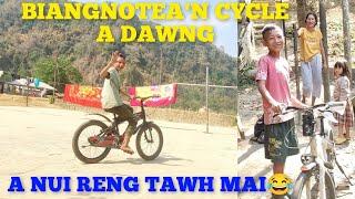 BIANGNOTEA'N CYCLE A DAWNG, AN NUFA IN AN HLIM HLE