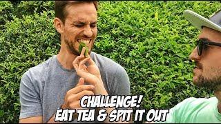 Eat Tea & Spit it Out - Challenge - Fly With Flow