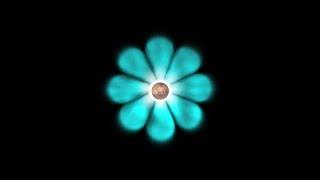 Ev Cochrane: The Flowering of Creation | Space News