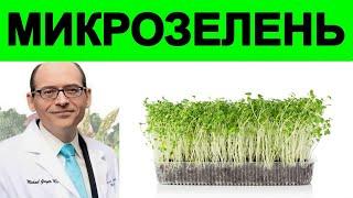 Микрозелень: Польза или Вред? Умноед и Доктор Майкл Грегер