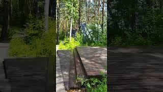Горный Алтай, Тайга, Катунь, Этника.