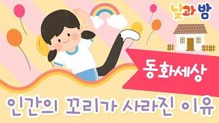 인간의 꼬리가 사라진 이유 ️｜창작설화｜창작동화｜전래동화｜설화｜옛날이야기｜오디오북｜낮과밤동화세상