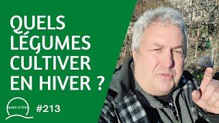#213-Quels légumes cultiver en hiver ?