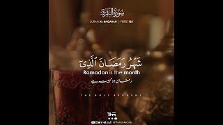 Ramadan Special Verses Recited by Abdul Rahman Mossad - The Holy Records - عبدالرحمن مسعد - رمضان