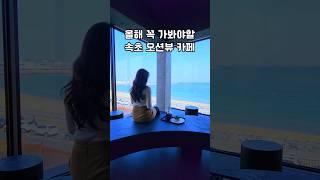 올해 꼭 가봐야할 속초 오션뷰 신상 카페 | 강원도 바다뷰 대형카페 | 속초 커피 디저트 맛집 | 카페 셜터 | 속초 가볼만한곳 | 강원도 속초 1박2일 여행코스 추천
