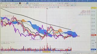 POSCO홀딩스( 포스코퓨처엠) 챠트분석 6월 24일