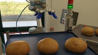 Automazione per l'industria della panificazione con Robot collaborativi e sistema di presa mGrip