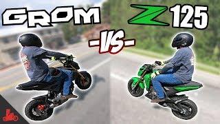 Honda Grom vs Kawasaki Z125 - IN RIDE Comparison!