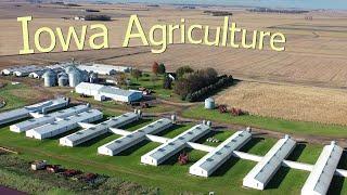 How Iowa Farmers Make $26.4 Billion A Year From 85300 Farms - American Farming Documentary