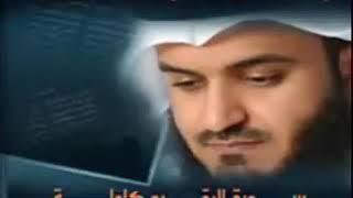 قران كريم سورة البقره مشاري العفاسي بدون اعلانات Koran, the image of cow Meshary Alafasy without ads