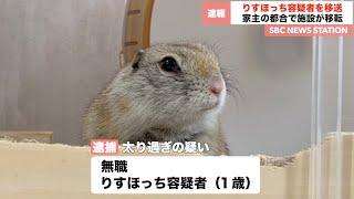 逮捕中のりすほっち容疑者、急遽移送が決定。【りすほっちニュース】【リチャードソンジリス】