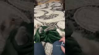 Новий костюм