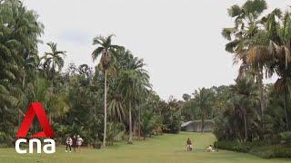 Singapore Botanic Gardens: A look at Singapore's first UNESCO World Heritage Site