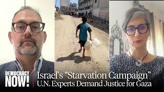 U.N. Experts Accuse Israel of "Starvation Campaign" in Gaza & Demand End to Western Complicity