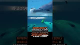 Underwater Puff Puff Pass #book_records #interestingfacts #dolphin #nature