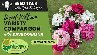 Seed Talk #102 - Sweet William Variety Comparison with Dave Dowling