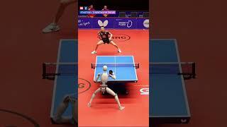 Robot play ping pong #robot
