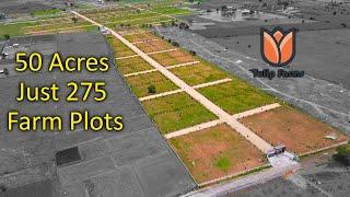 Excellent Farm Lands Near Future City Mucherla | Tulip Farms on Srisailam Highway