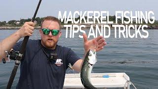 Mackerel Fishing, Tips and Tricks for catching live bait in Maine.