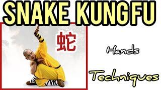 20 snake hands techniques / snake Kung fu for beginners / learning kf at home