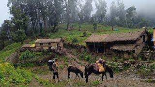 Heavy Rain In The Nomadic Village Of Nepal | Nomadic People Lifestyle in The Rural Village Activitie