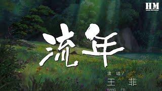 王菲 - 流年『有生之年 狹路相逢』【動態歌詞Lyrics】