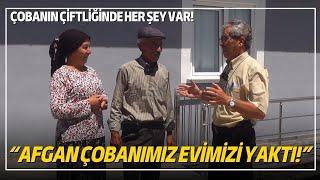 "Afgan Çobanımız Evimizi Yaktı!" / Bu Çobanın Çiftliğinde Her Şey Var!