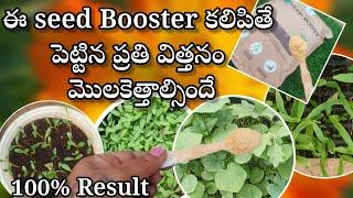 seed Booster | Best seed germination Hack |best seed soil mix in telugu