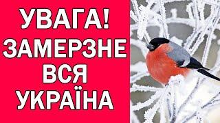 ПОГОДА НА ЗАВТРА 25 ЖОВТНЯ : ПОГОДА В УКРАЇНІ НА ЗАВТРА