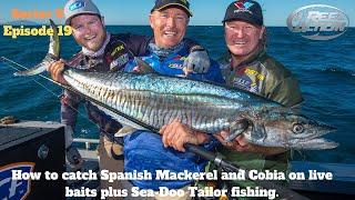 How to catch Spanish Mackerel and Cobia on live baits plus Sea-Doo Tailor fishing.