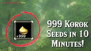 Get 999 Korok Seeds in Under 10 Minutes in Zelda Breath of the Wild!