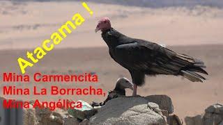 The Carmencita, Borracha and Angélica mine - the Atacama Desert (Chile)