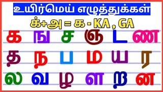 உயிர்மெய் எழுத்துக்கள்   Uyirmei Ezhuthukkal   Learn tamil alphabets for kids |SanjeevMaran Tuition