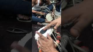 World first awarded best tabla manufacturer ustad Qasim Khan Niyazi and sons d scale Tabla 5-3/4 inc