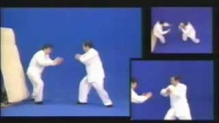 傳統楊氏太極拳-発勁 (擠之發勁示範)   Yang TaiChi Applications (Martial Art)