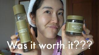 Acne Removal Korean Mugwort Products! #clearskin