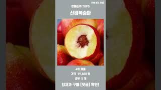 신비복숭아 주문은 바로 위 "▶ ~ 추천" 글자를 클릭해 주세요!