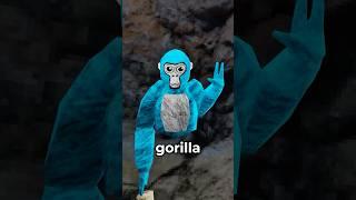 The Story of Jman and VMT… #gorillatag #gtag #vr