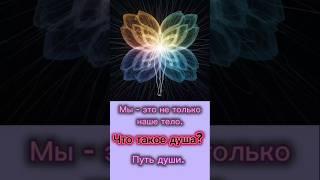Мы - это не только наше тело. Что такое душа? Путь души.