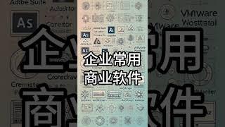 企业常用商业软件介绍 版权保护