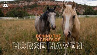 BTS: Welcome to Horse Haven at Best Friends Animal Sanctuary