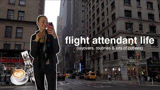 this is what it’s like being a flight attendant - layovers in hawaii & NYC, routines + more! ‍️️