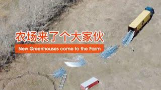 The big guy comes to the farm