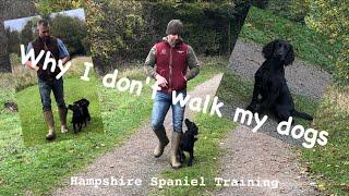 I never just walk my spaniels